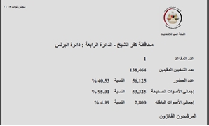 النتائج الرسمية فى دائرة البرلس بكفر الشيخ