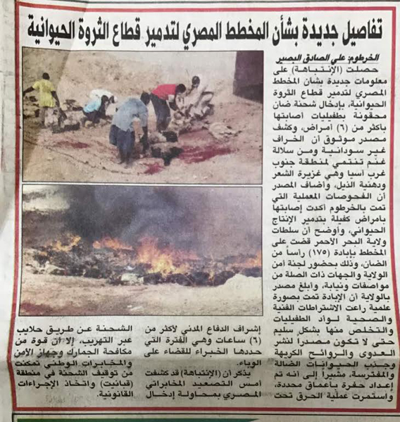 الصحف السودانية  (4)